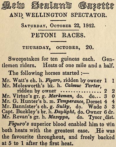 Report on a race meeting