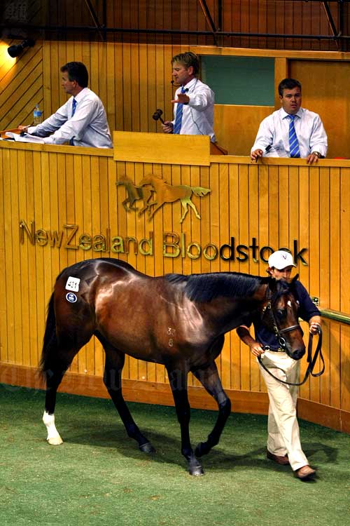Lot 431 