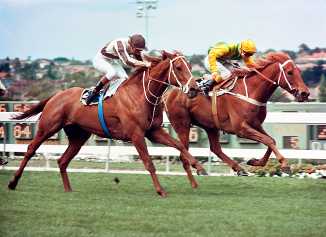 Race of the century