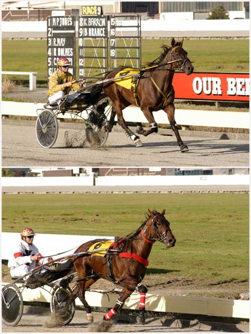 Trotting and pacing