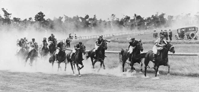 Trotting: saddle trots