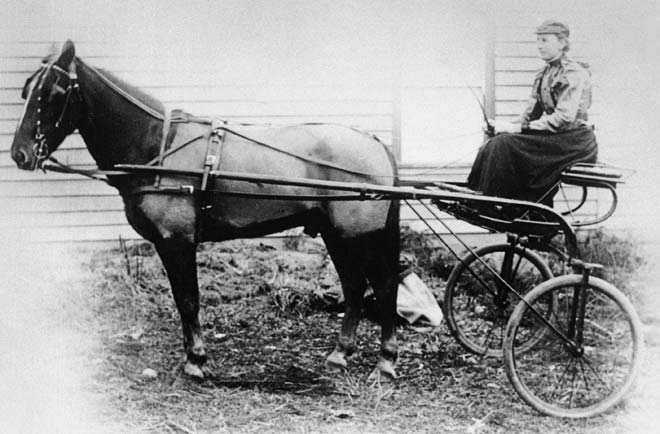 Trotting: Bella Button