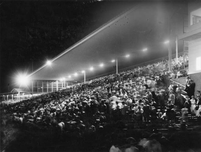 Night trotting, Alexandra Park, 1959