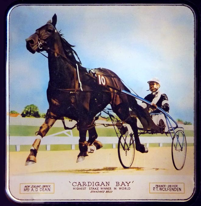 Cardigan Bay