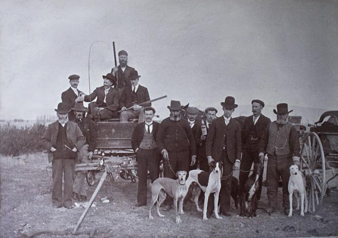 A coursing club, Ophir