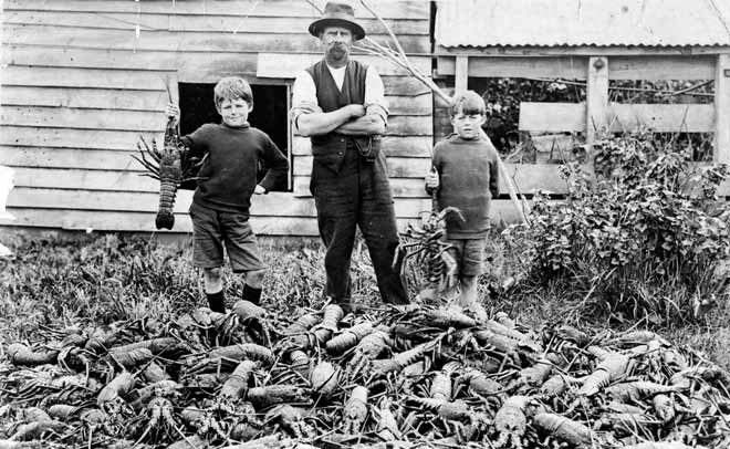 No shortage of crayfish