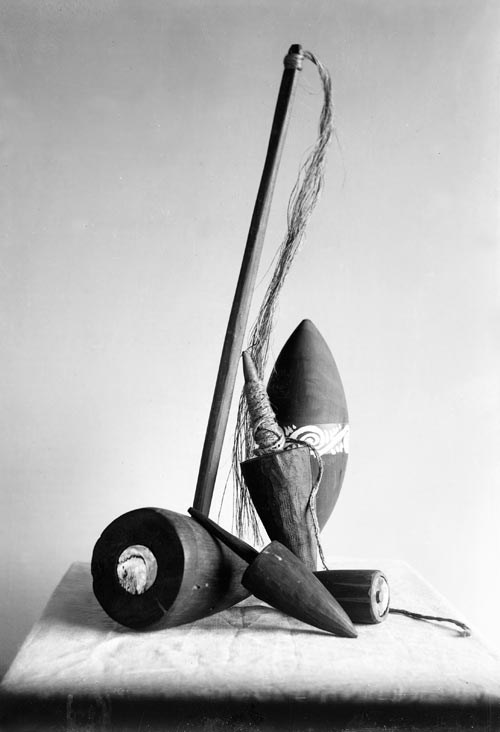 Pōtaka tā (whip tops)