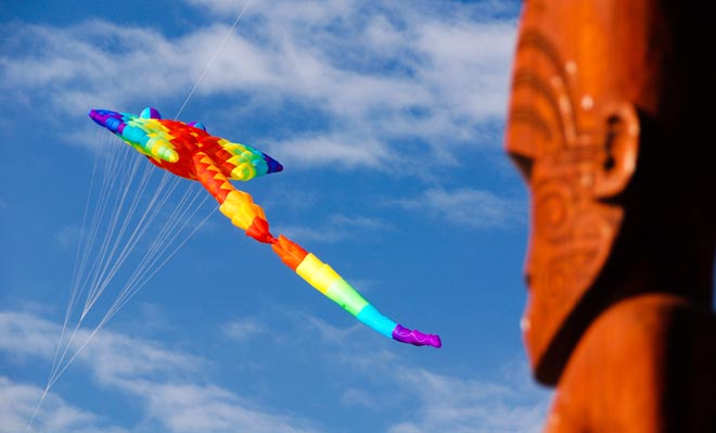 Manu Aute Kite Day, Auckland, 2011