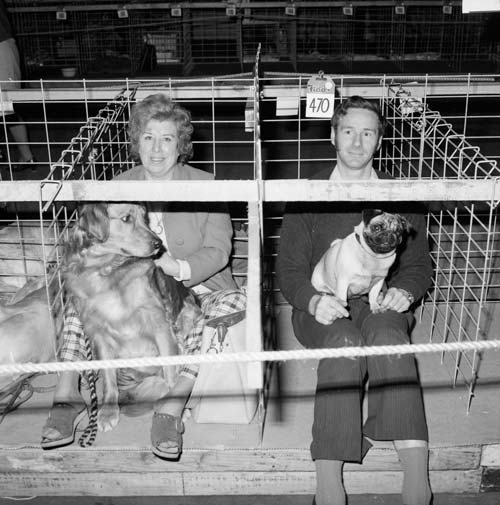 National Dog Show, 1974