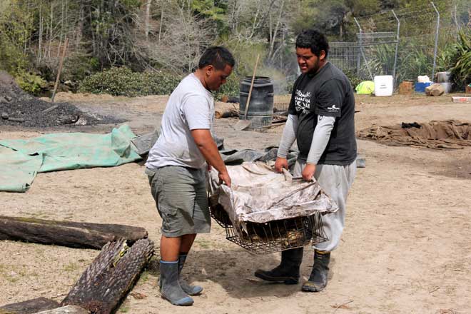 Lifting a hāngī, 2011