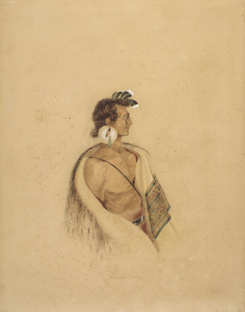 Pōhoi toroa – albatross-feather ear ornament