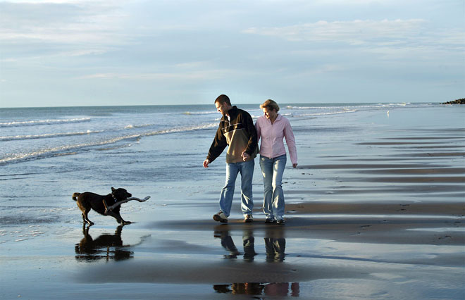 An afternoon stroll with the dog, 2005