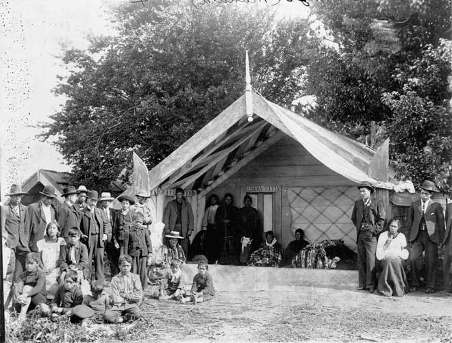 Tangi, Coromandel, 1905