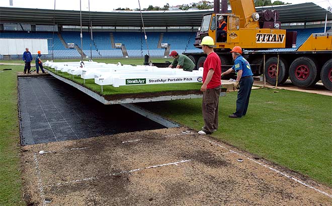 Portable cricket pitch 