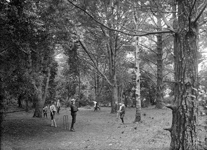 Cricket in the Domain, 1901