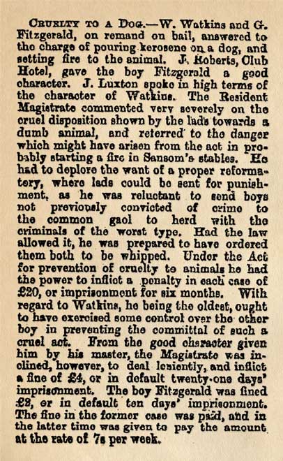 Penalties for cruelty
