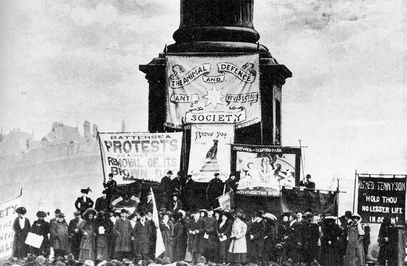 English anti-vivisection campaigns: rally against removal of the brown dog statue