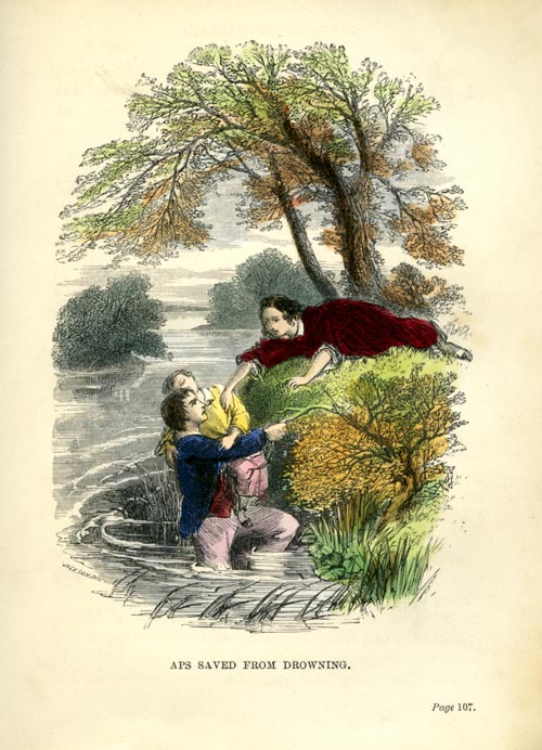 'Aps saved from drowning', from <em>Distant homes</em>