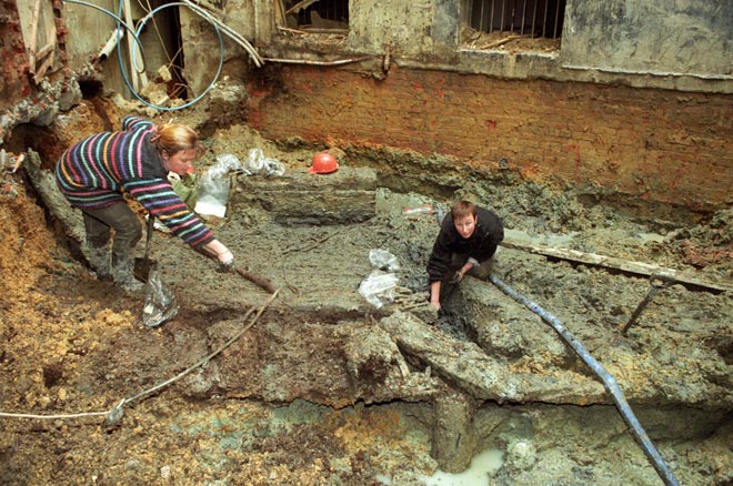 Uncovering Plimmer's Ark 