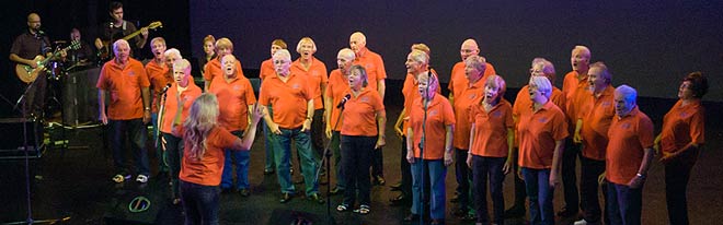Different choirs: Young@Heart