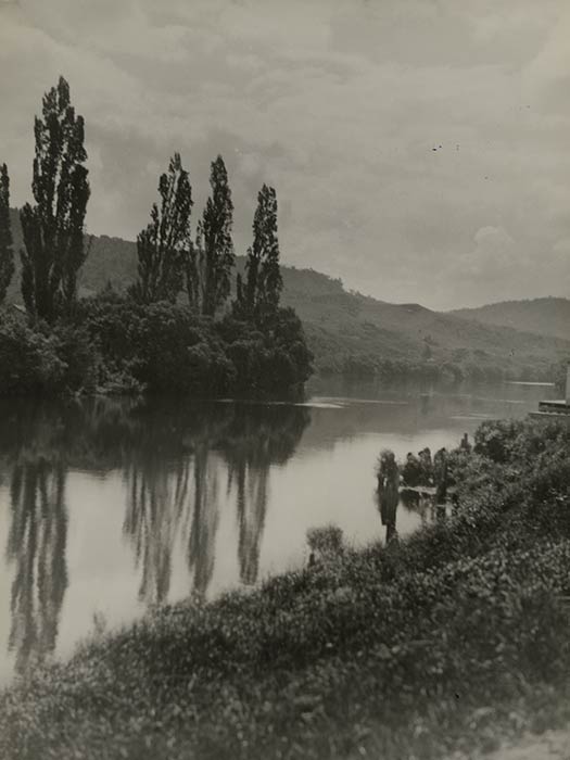 Una Garlick's portrait of the Waipā and Waikato rivers