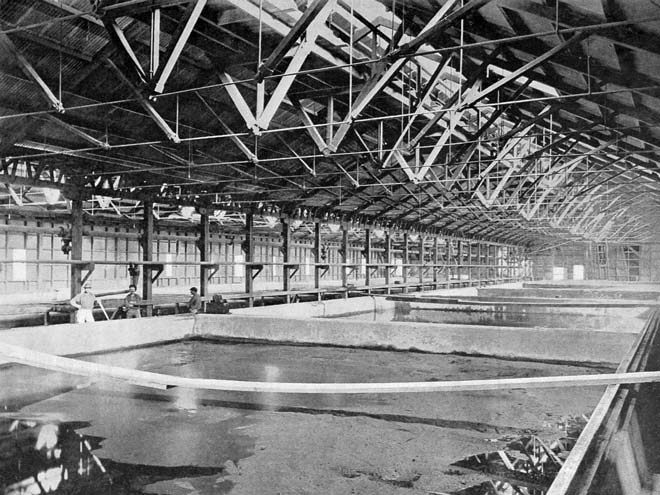 Waihi Gold Mining Company's cyanide vats, 1899