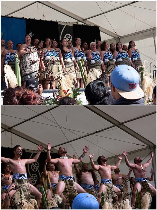 Kapa haka attire, 2014