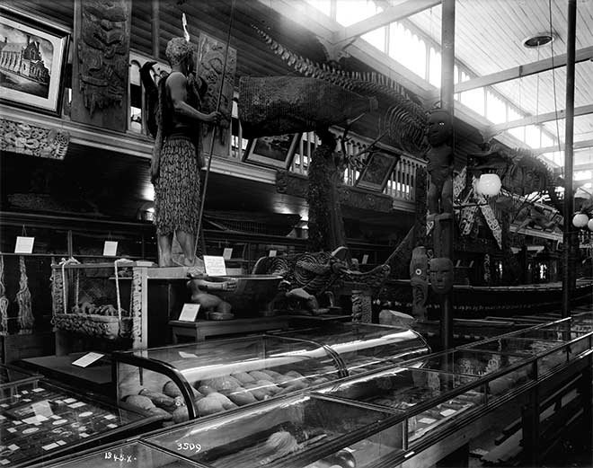Main hall of the Dominion Museum, 1910