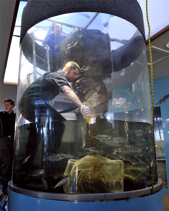 Marine Studies Centre aquarium, Portobello, 2010