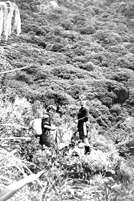Ecological field study, Maungapōhatu, 1930