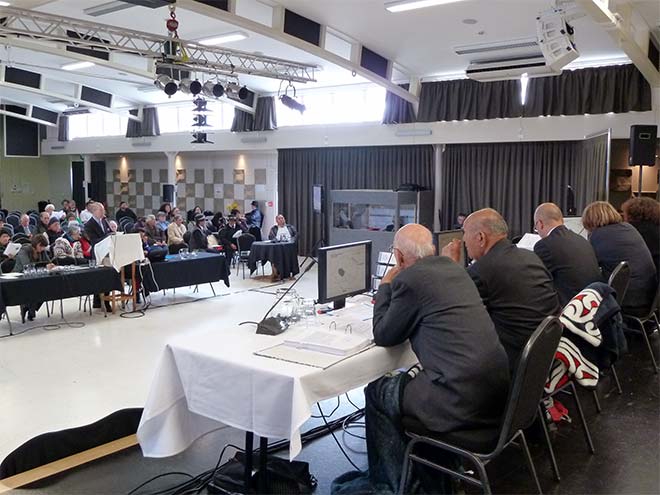 Giving evidence at a Waitangi Tribunal hearing