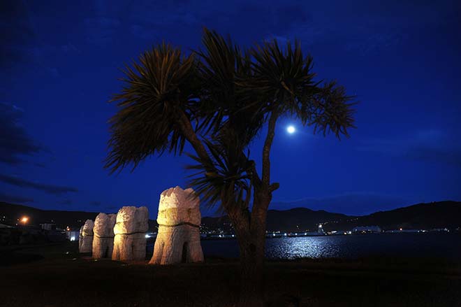 'Harbour mouth molars', Dunedin