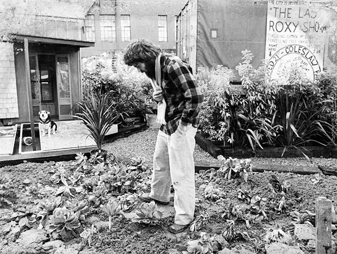 'Vacant lot of cabbages' 