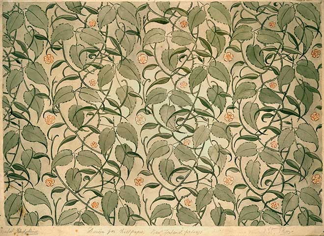 Wallpaper design from the New Zealand Industrial Exhibition, Wellington, 1885
