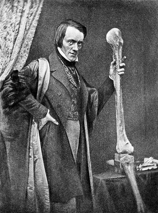 Richard Owen with moa bones 