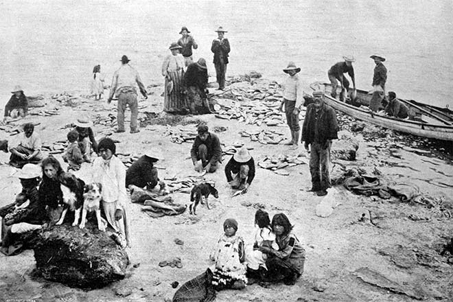 Catching fish at Pārengarenga, 1907