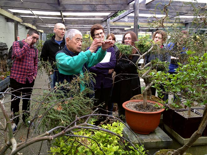 Chalkle class in bonsai, 2013