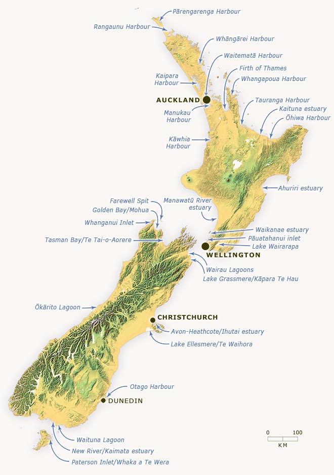 Feeding sites for waders