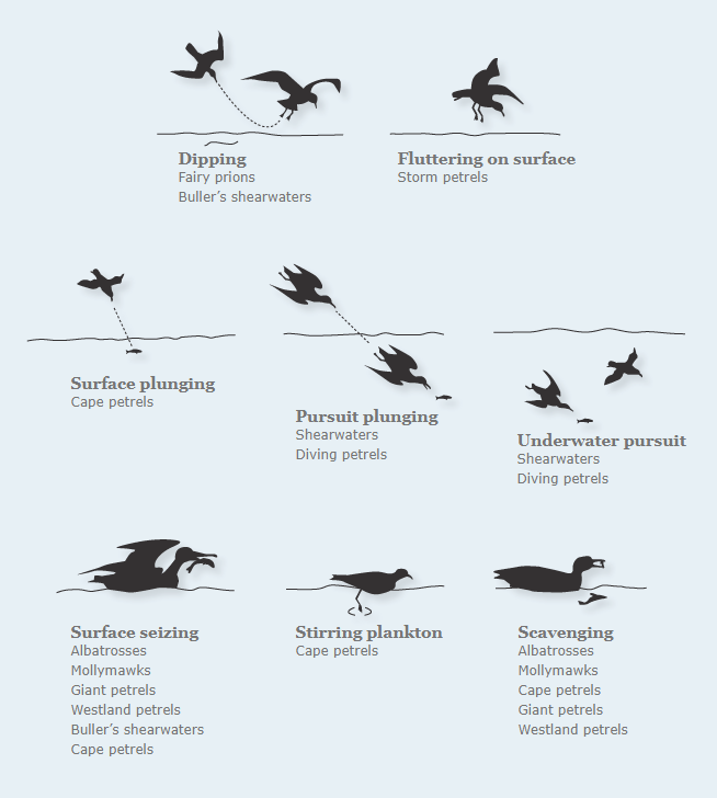 Foraging methods