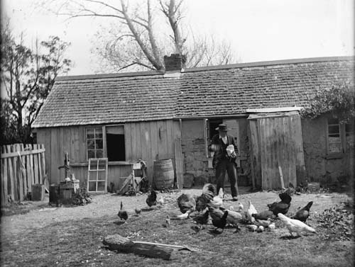 William Jenkins outside his cottage, Ōtaki, about 1900