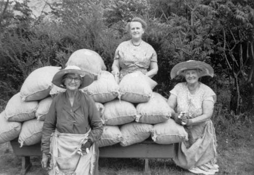 Bell McElligott (left) and other fruit pickers, Central Otago, 1950s