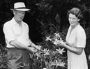 Jim Matthews and his wife Barbara Matthews examine daylillies, 1953