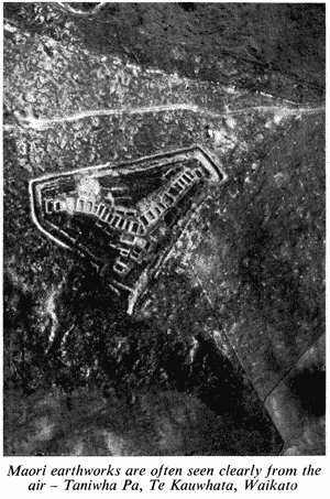 Maori earthworks