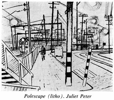 'Polescape', Juliet Peter