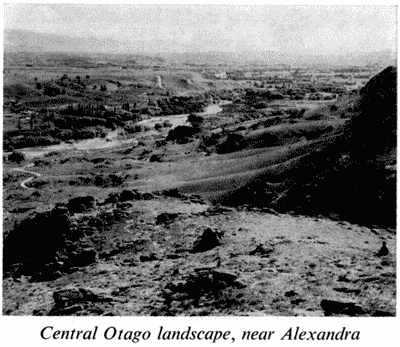 Central Otago landscape, near Alexandria