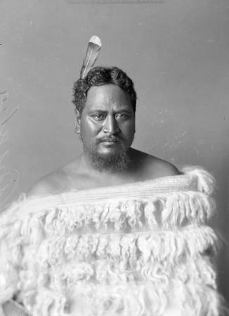 Nireaha Tāmaki, 1880s