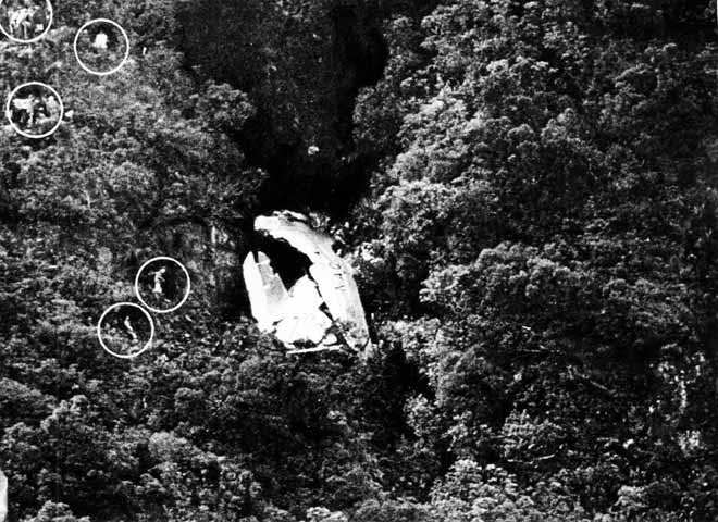 Kaimai crash
