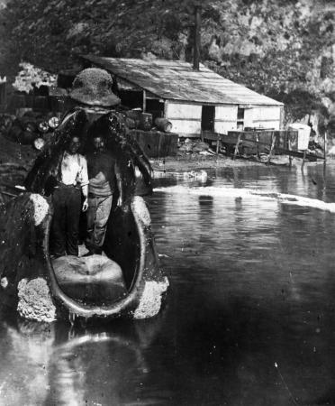 Two men inside the mouth of a whale, Tipi Bay, Marlborough Sounds, between 1912 and 1924