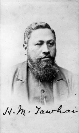 Hōne Mohi Tāwhai