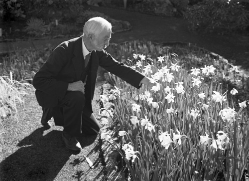 Professor Algernon Phillips Withiel Thomas, 1934